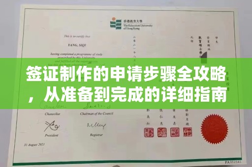 邵东签证制作的申请步骤全攻略，从准备到完成的详细指南