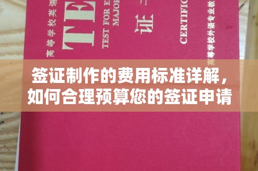 宁海签证制作的费用标准详解，如何合理预算您的签证申请成本